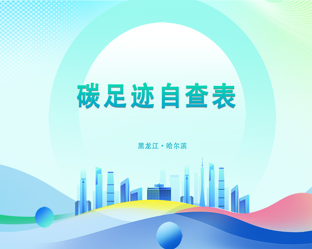 碳足迹自查表